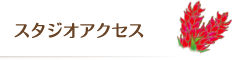 スタジオアクセス